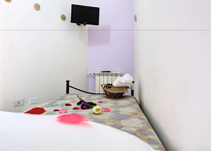 In The Center By Local Domus